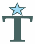 Tidy Services logo