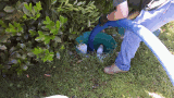 Norsky Septic Service logo