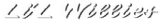 Li'l Willies logo