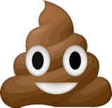 DOO DOO BUS SEPTIC SERVICE logo